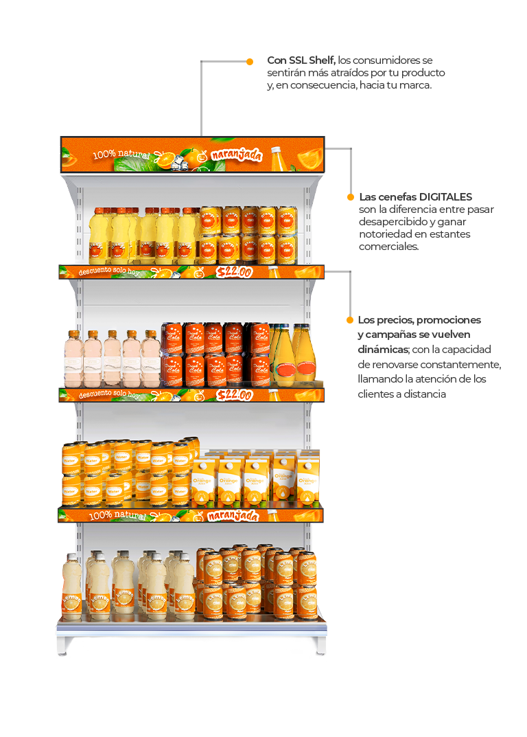 SHELF